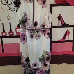 NWT Ted Baker Nanina Neopolitam buckle detail dress Sz4