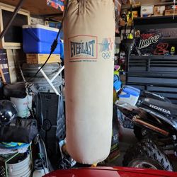 Everlast punching bag