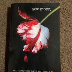 New Noon Twilight