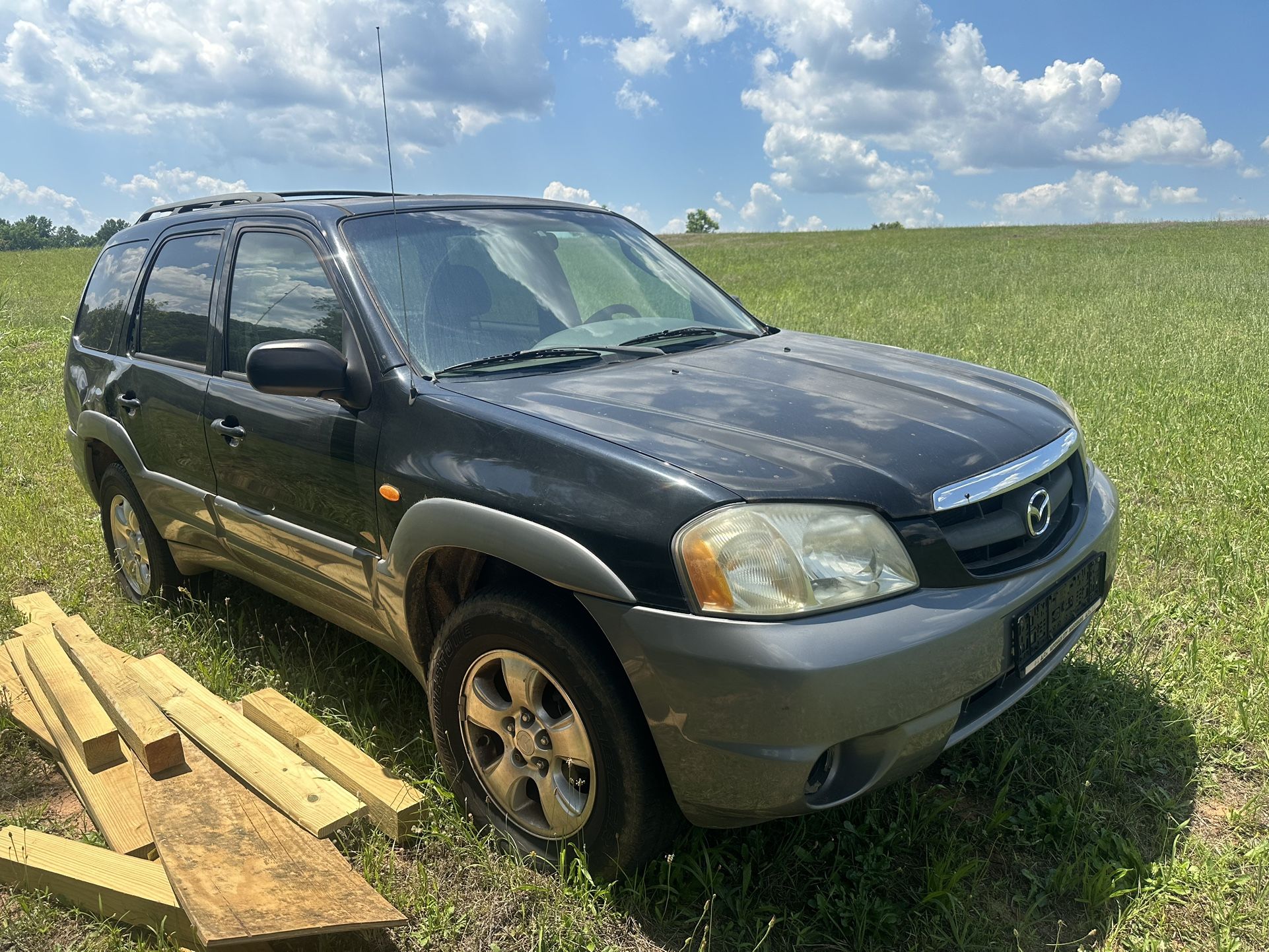 Mazda tribute