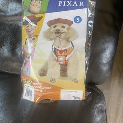 Woody Pet Costume 