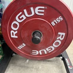 Rogue 55LB Rogue Color Echo Pair