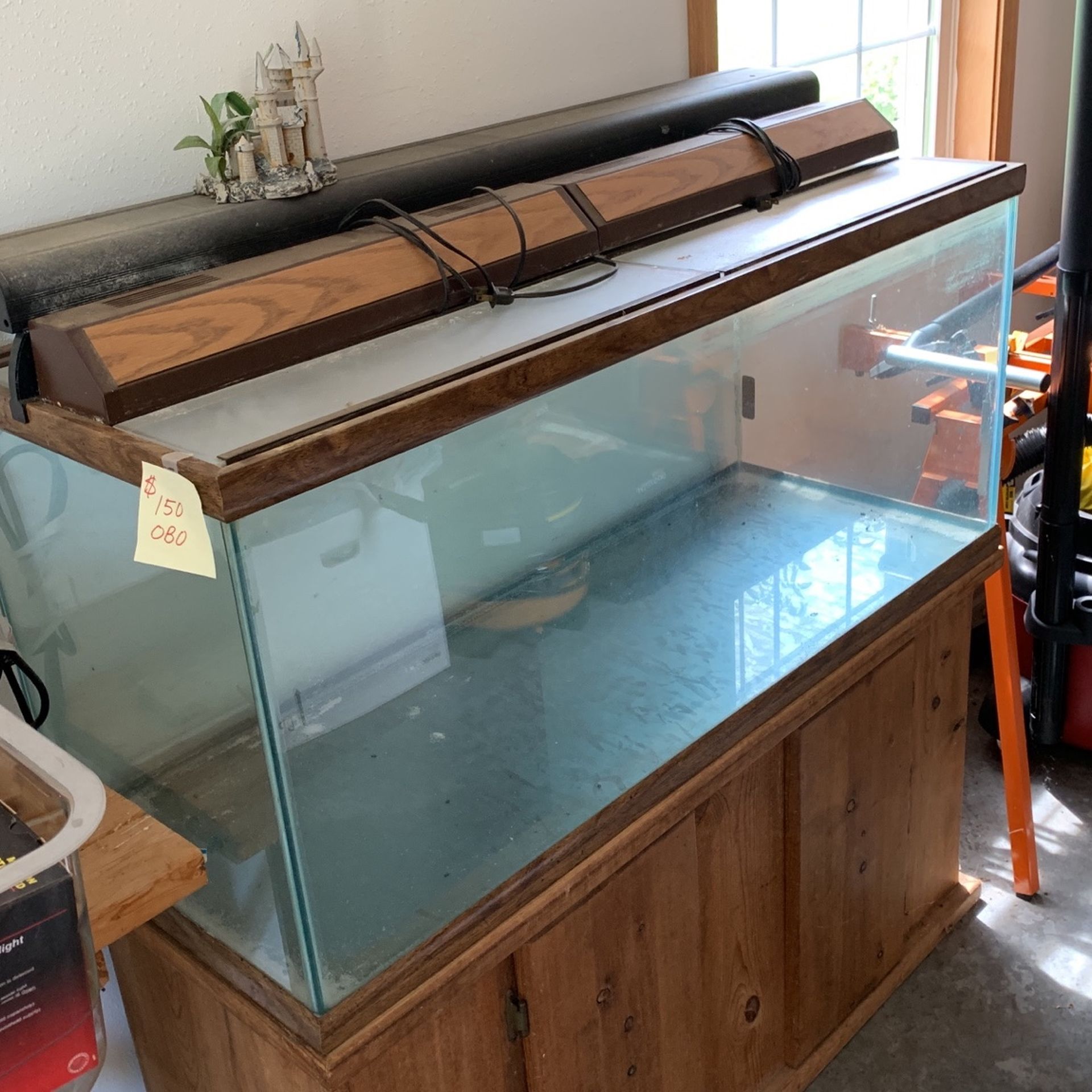 75 Gallon Fish Tank Size: Ultimate Guide to Perfect Aquarium Setup
