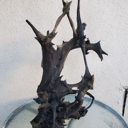 Aquarium Fish tank Driftwood & Christmas Moss 