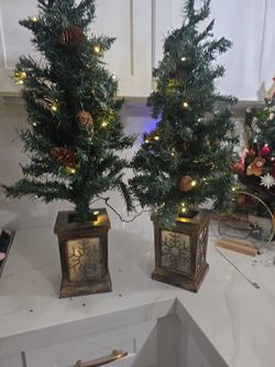 Set of 2 34" tall Christmas Trees with Lantern Bases