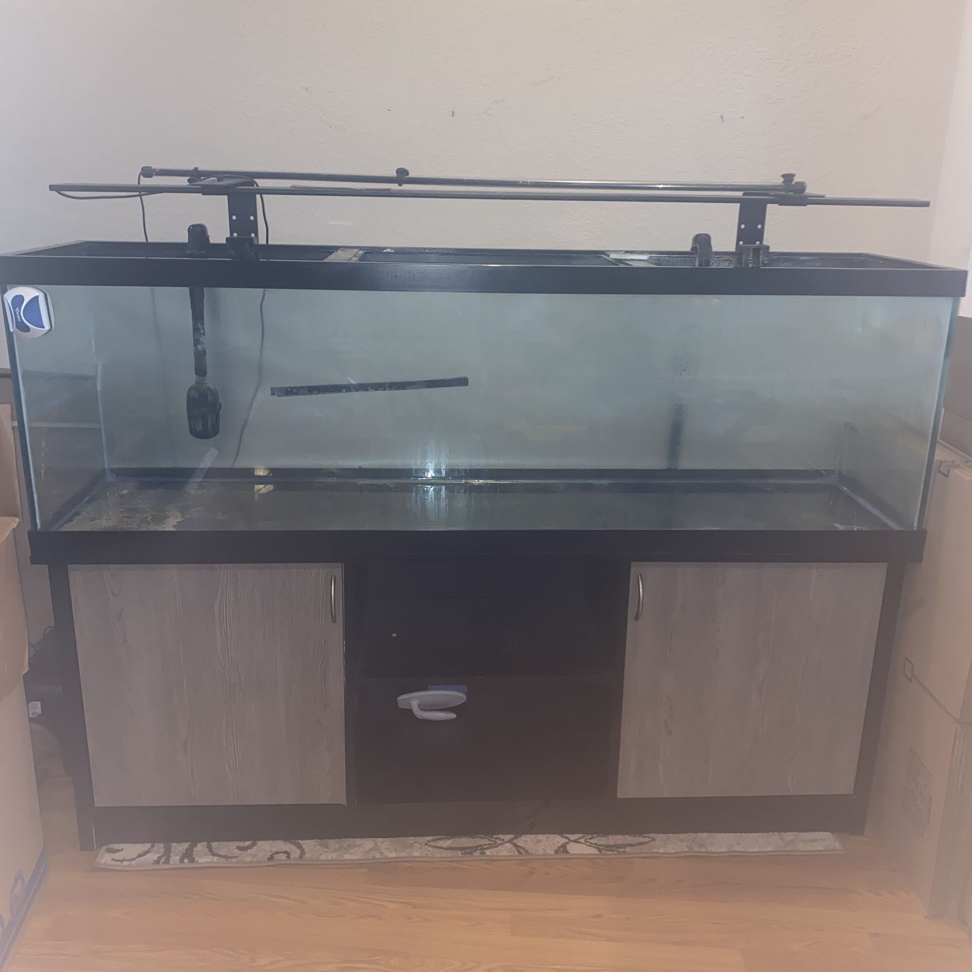 Fish Tank