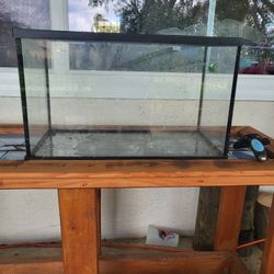 Aquarium/ Terrarium/ Reptile 