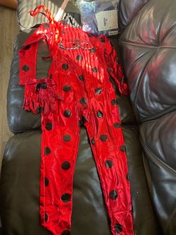 Miraculous ladybug costume