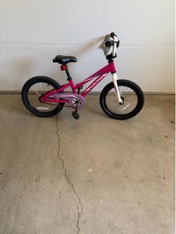 Free Schwinn Kids Bike