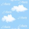 Stassie Boutique