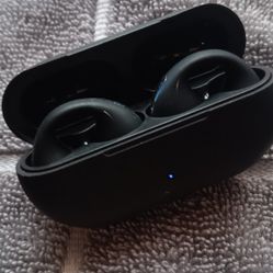 Earphones