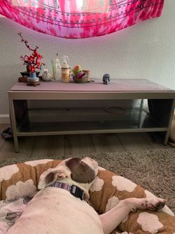 Glass coffee table