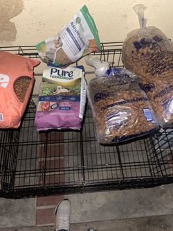 Dogfood