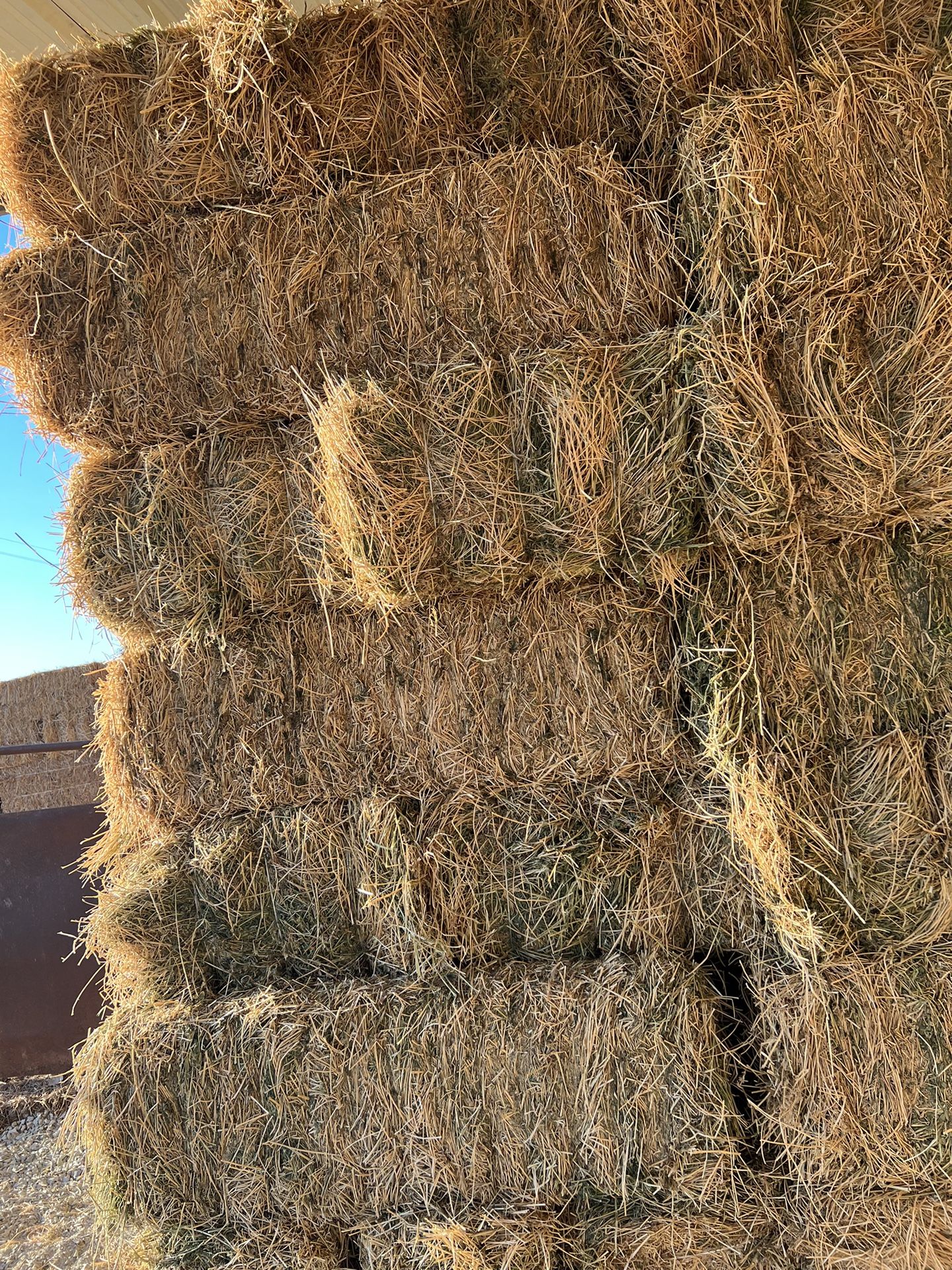 Alfalfa Hay