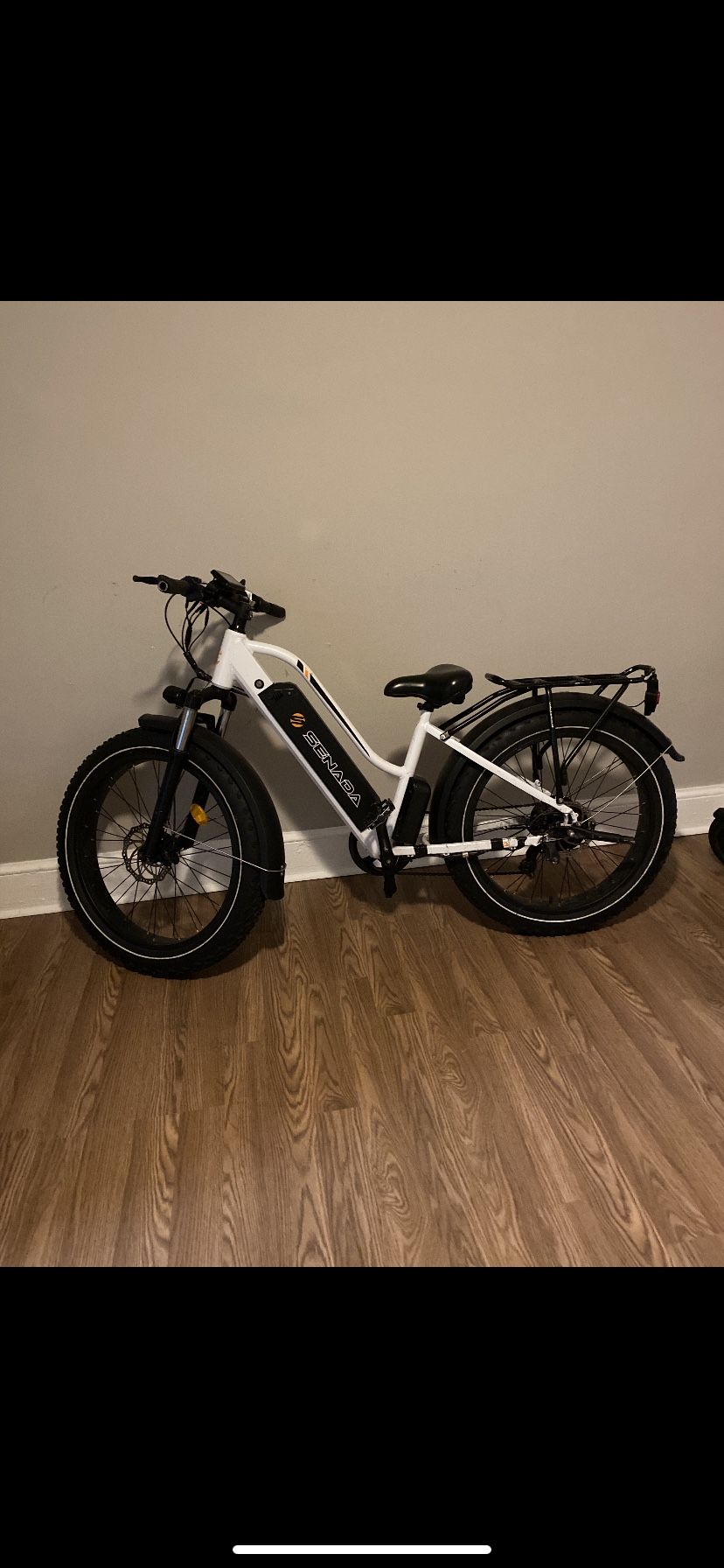 Electric Bike 