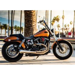 Exhaust System for Harley Dyna