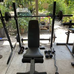 Work Out  Bench, Curl Bar, Dumb Bells, Dip And Pull Up Bar, Bird Cage