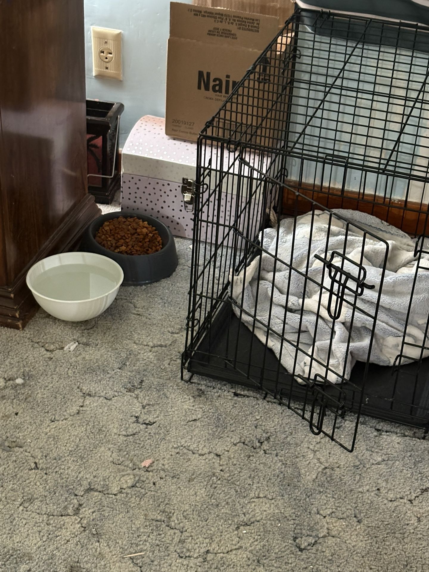 Small Dog Kennel