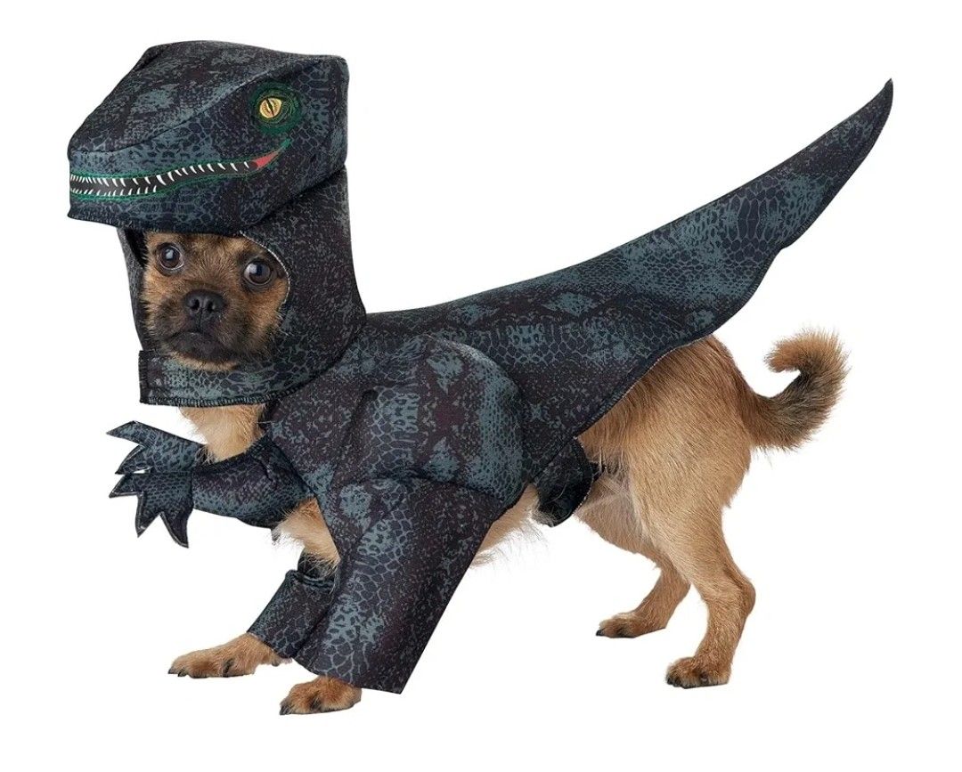 Pupasaurus Rex Dog Costume NEW