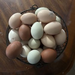 Fresh Organic Eggs