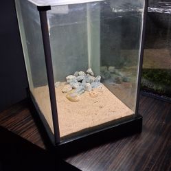 Glass Nano Aquarium 
