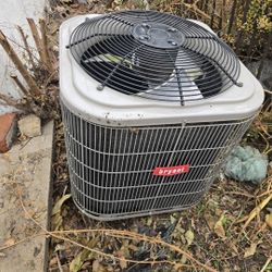 Bryant, Guardian, Goodman