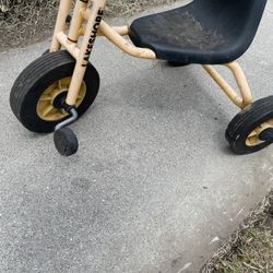 Lakeshore Tricycle Trike 