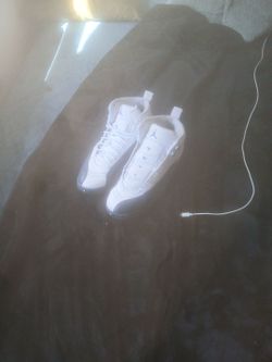 Air jordan 12