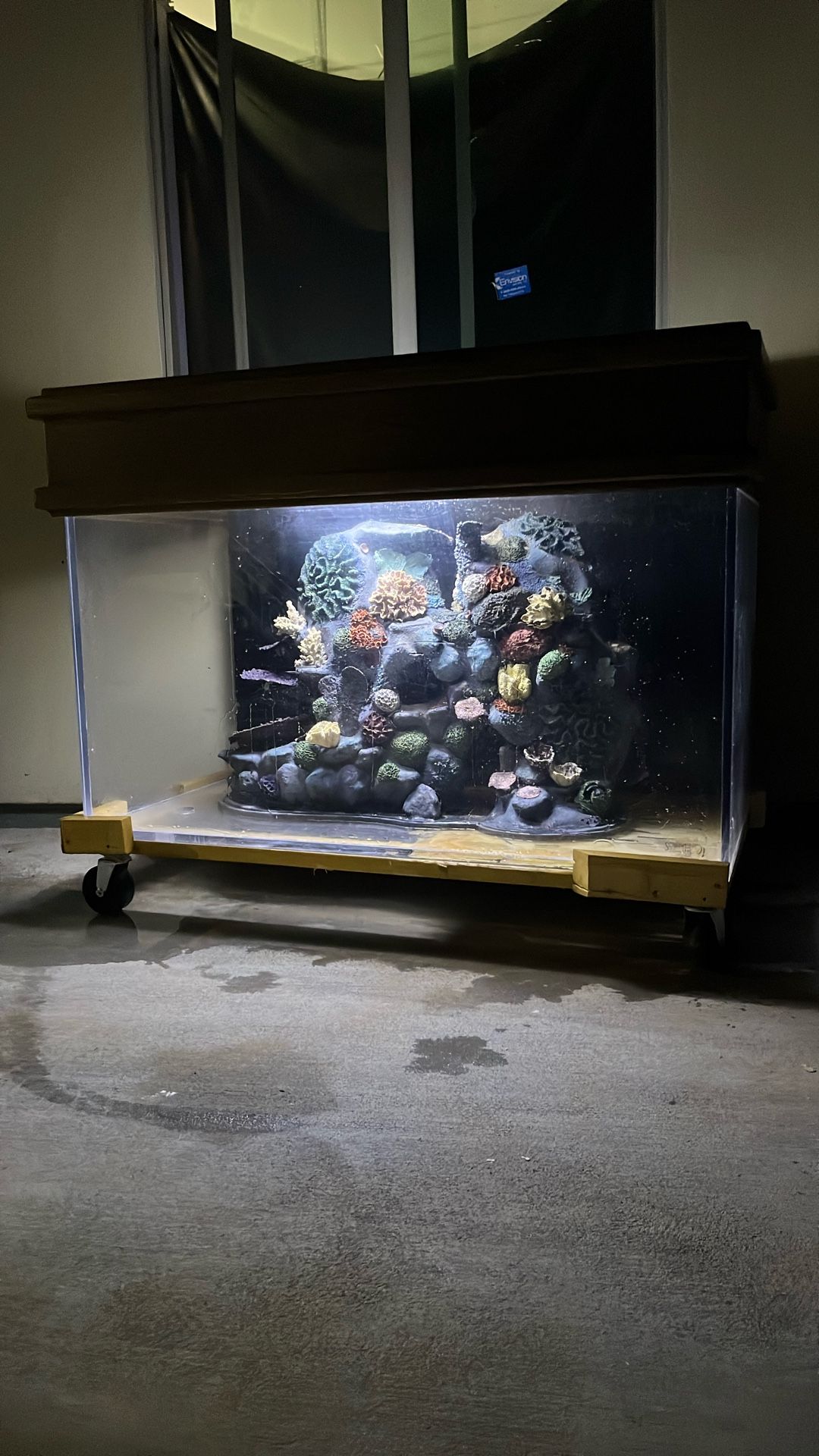 Huge Fish Tank With Center Piece