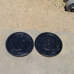 Weights 2x50lbs 1in Hole 