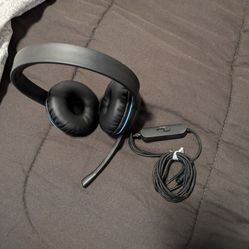 Headphones With Mic Brand New