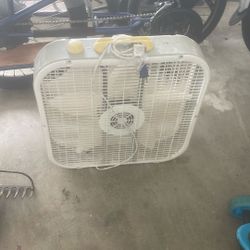 Fan