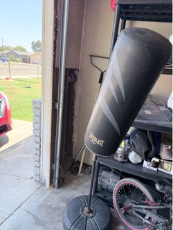 Everlast boxing equipment