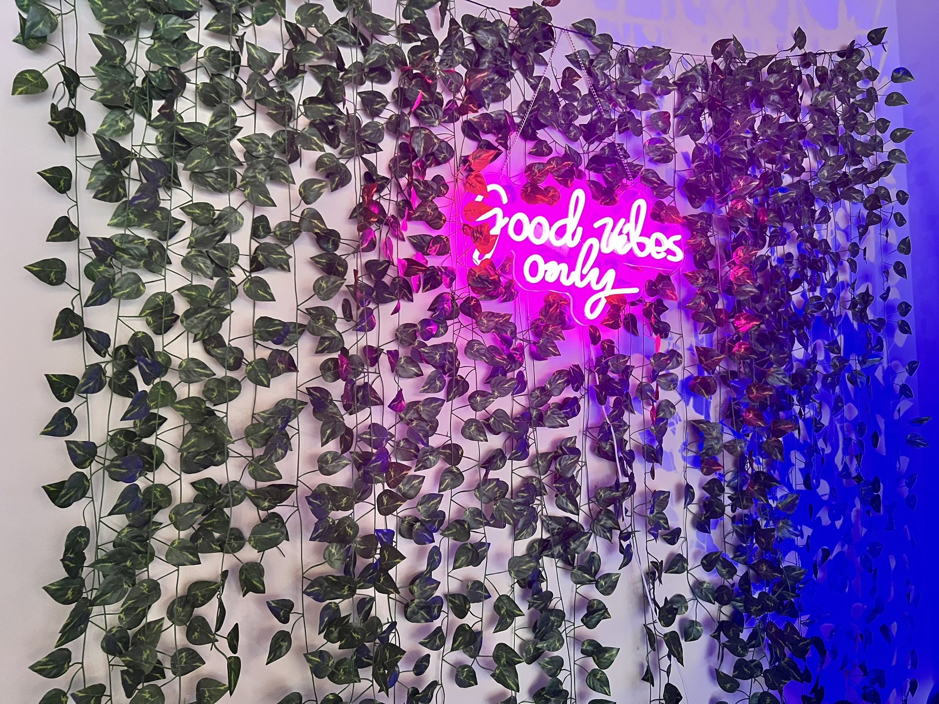 Pink neon sign and artificial ivy for backdrop