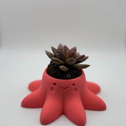 Octopus Planter With Succulent 