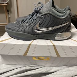 Lebron XXI Cool Grey/Metallic Silver Size 11.5