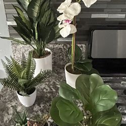 Fake Plants