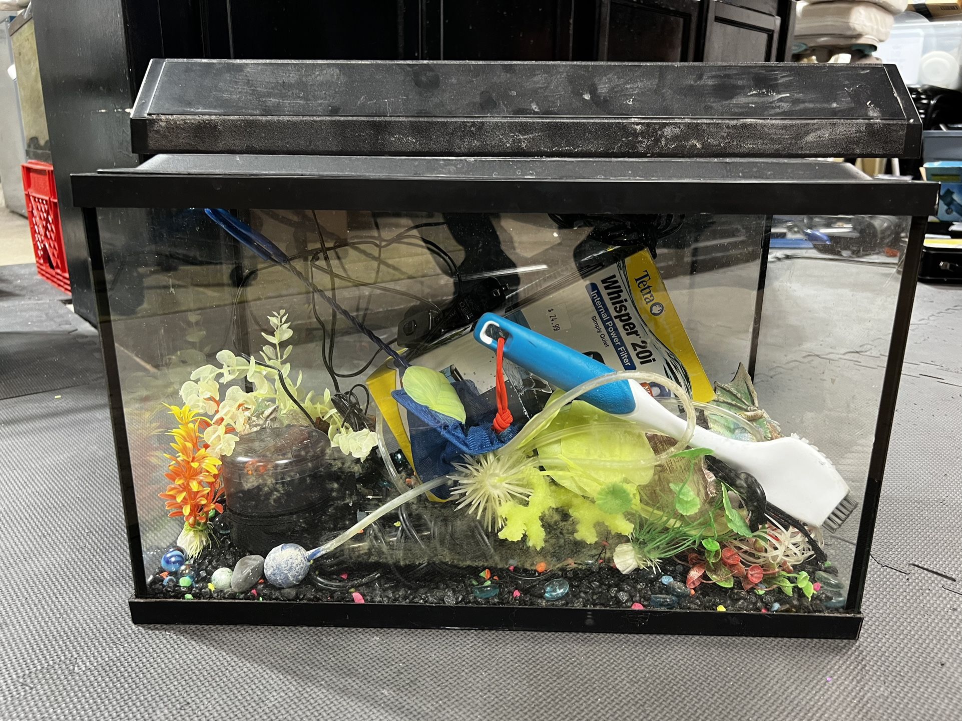 10 Gallon Fish Tank Full Set Up