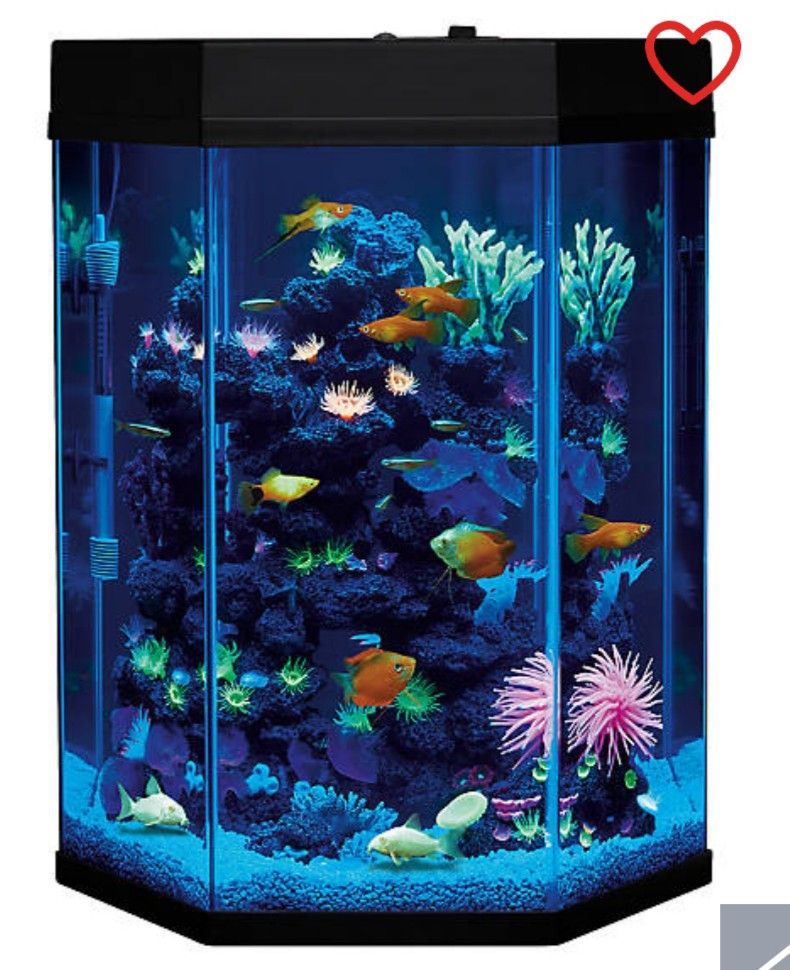 Beautiful hexagon Aquarium tank w/Hood/Light!