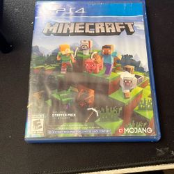 Mine Craft