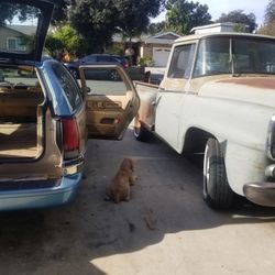 1959 International