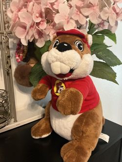 Buc ee’s beaver plushie Size:medium