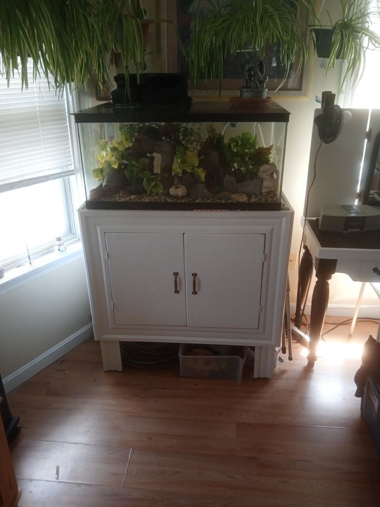 90 Gallon Fish Tank With Homemade Stand . Including Everything You Need For A Fish Tank