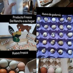 Frescos Del Rancho Blanquillo Y Leche De Chiva Fresh Egg Goat Milk