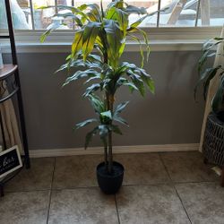 plantera. en buena condicion