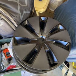 Basically Brand New 2025 Model 3 Highland Wheel Caps 