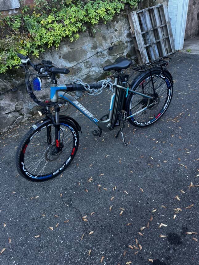 Electric Bike