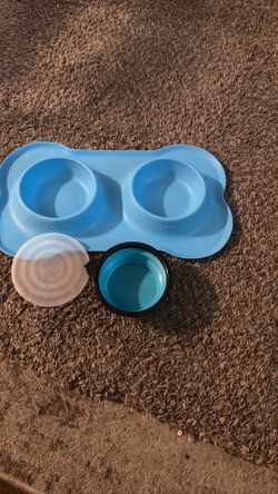 Pet water and food container