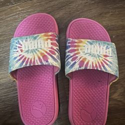 Puma slides