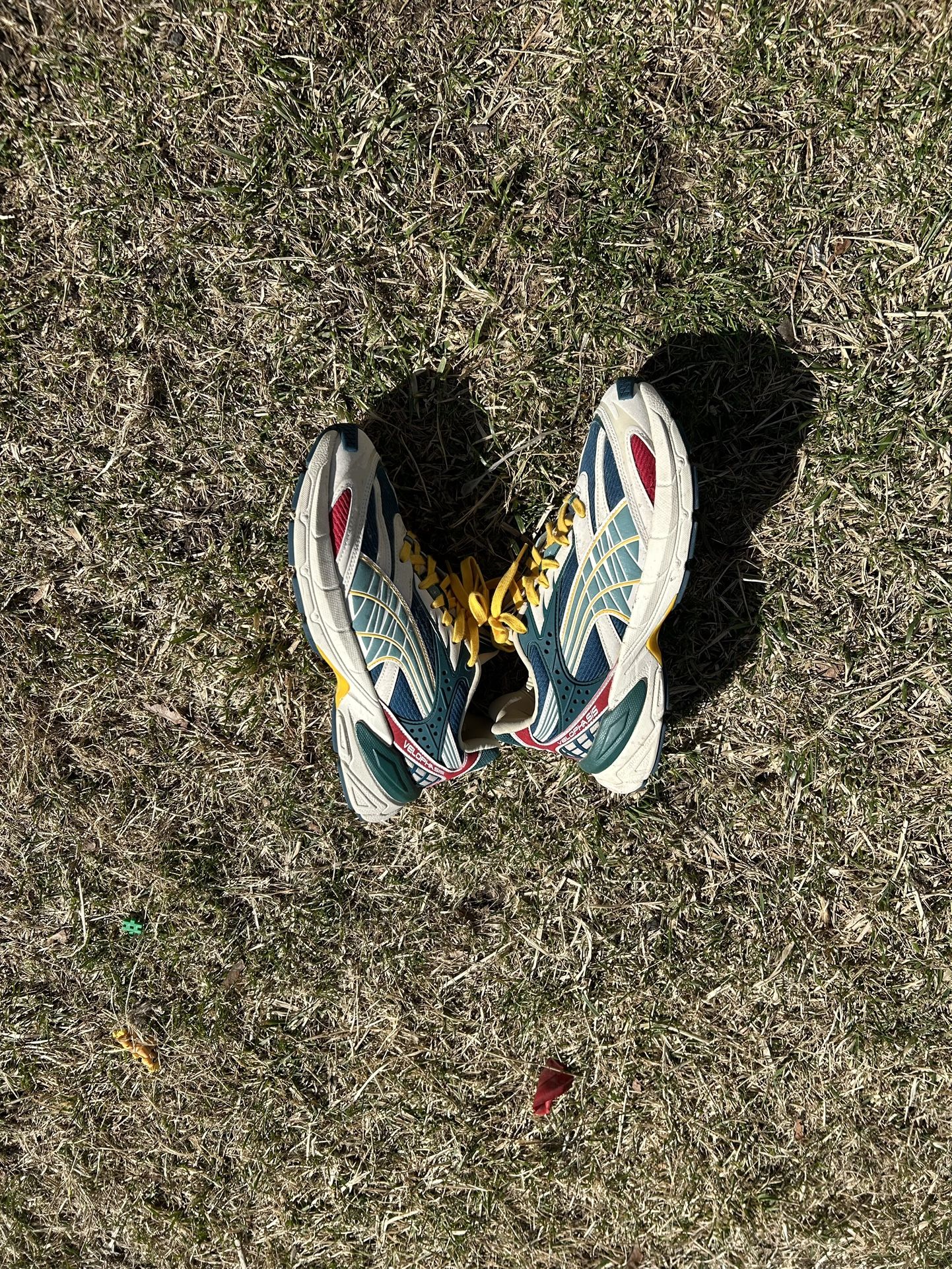 Pumas